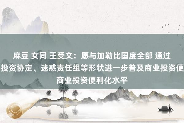 麻豆 女同 王受文：愿与加勒比国度全部 通过商签商业投资协定、迷惑责任组等形状进一步普及商业投资便利化水平