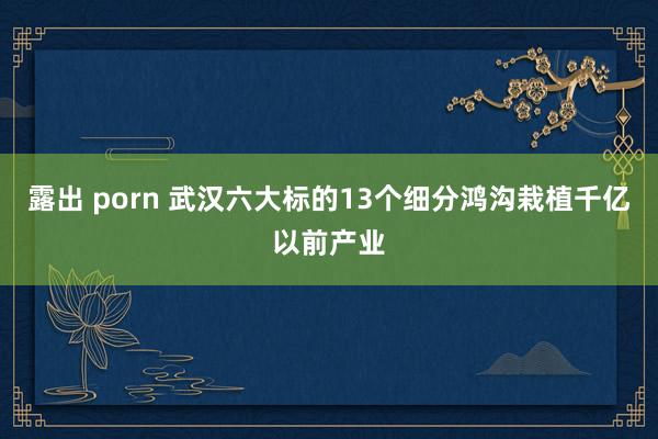 露出 porn 武汉六大标的13个细分鸿沟栽植千亿以前产业