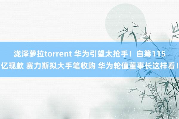 泷泽萝拉torrent 华为引望太抢手！自筹115亿现款 赛力斯拟大手笔收购 华为轮值董事长这样看！