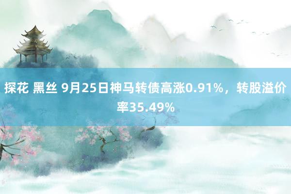 探花 黑丝 9月25日神马转债高涨0.91%，转股溢价率35.49%