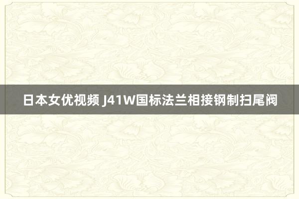 日本女优视频 J41W国标法兰相接钢制扫尾阀