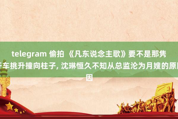 telegram 偷拍 《凡东说念主歌》要不是那隽开车挑升撞向柱子， 沈琳恒久不知从总监沦为月嫂的原因