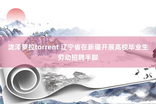 泷泽萝拉torrent 辽宁省在新疆开展高校毕业生劳动招聘手脚