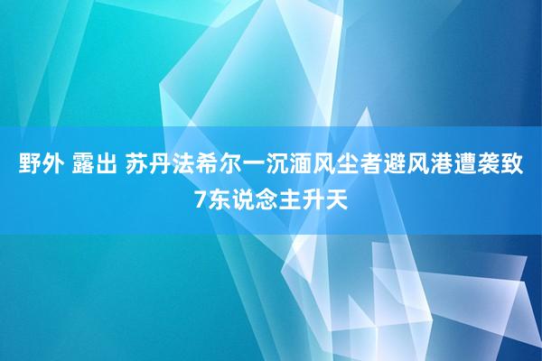 野外 露出 苏丹法希尔一沉湎风尘者避风港遭袭致7东说念主升天