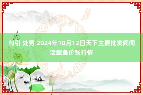 勾引 处男 2024年10月12日天下主要批发阛阓活鳜鱼价钱行情