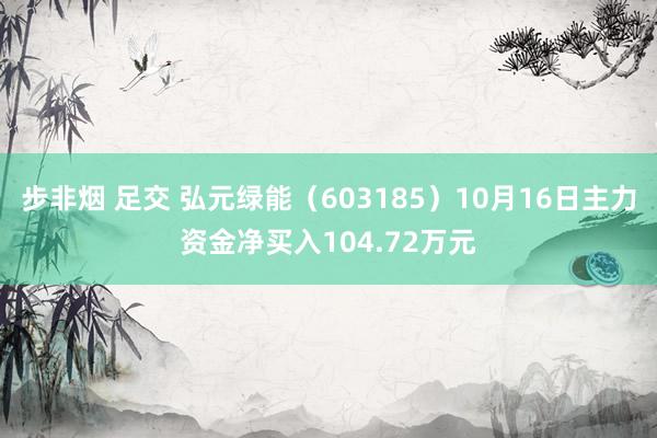 步非烟 足交 弘元绿能（603185）10月16日主力资金净买入104.72万元