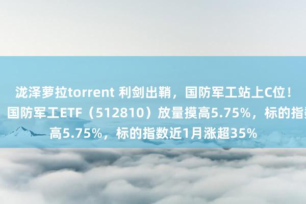 泷泽萝拉torrent 利剑出鞘，国防军工站上C位！成份股满屏涨停，国防军工ETF（512810）放量摸高5.75%，标的指数近1月涨超35%