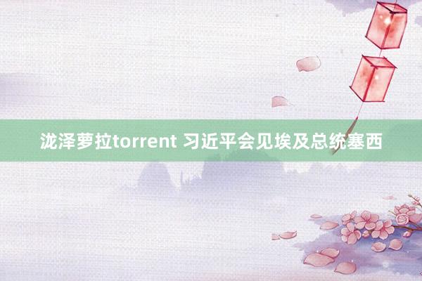 泷泽萝拉torrent 习近平会见埃及总统塞西