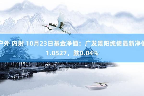 户外 内射 10月23日基金净值：广发景阳纯债最新净值1.0527，跌0.04%