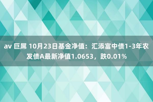 av 巨屌 10月23日基金净值：汇添富中债1-3年农发债A最新净值1.0653，跌0.01%