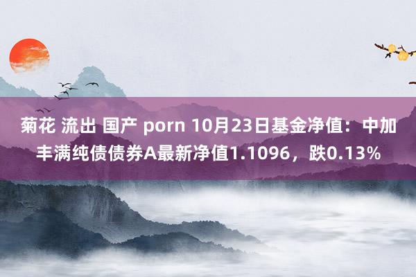 菊花 流出 国产 porn 10月23日基金净值：中加丰满纯债债券A最新净值1.1096，跌0.13%