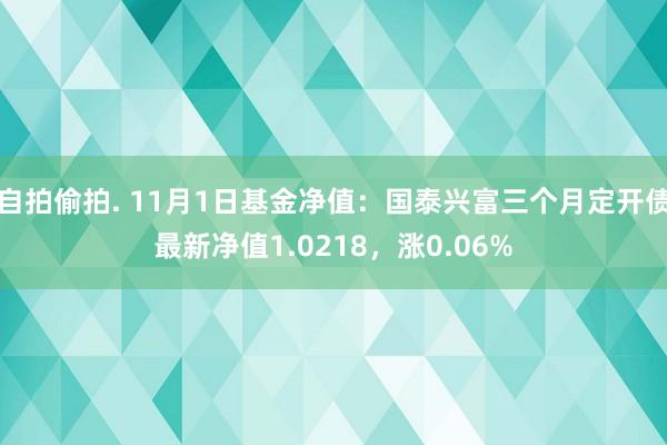 自拍偷拍. 11月1日基金净值：国泰兴富三个月定开债最新净值1.0218，涨0.06%