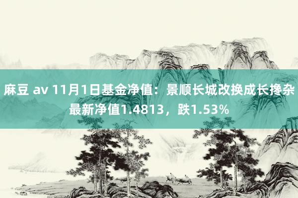 麻豆 av 11月1日基金净值：景顺长城改换成长搀杂最新净值1.4813，跌1.53%